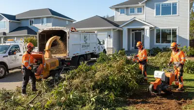 Professional shrub and bush removal service in Minneapolis, MN by Chop Chop Tree experts